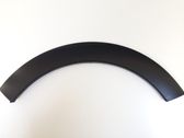 Front door trim (molding)
