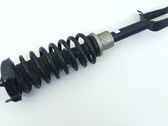Front shock absorber/damper
