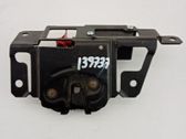 Tailgate exterior lock