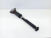 Stoßdämpfer hinten
