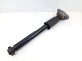Stoßdämpfer hinten