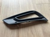 Front fog light trim/grill