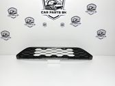 Front bumper lower grill
