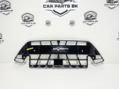 Front grill
