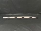 Front door trim (molding)