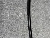 Rear door glass trim molding