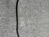 Rubber seal front door (on door)