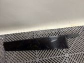 Rear door glass trim molding