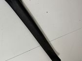 Moldura protectora del borde delantero