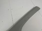 (A) pillar trim