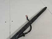 Tailgate/trunk strut/damper