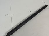 Tailgate/trunk strut/damper