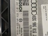 Engine control unit/module ECU