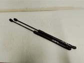 Front bonnet/hood damper/strut