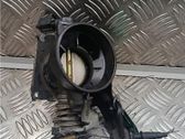 Throttle body valve