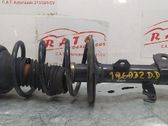 Amortiguador delantero