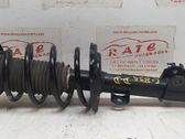 Front shock absorber/damper