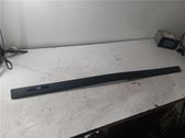 Listón embellecedor de la puerta delantera (moldura)