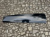 Front door trim (molding)