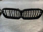 Front bumper upper radiator grill