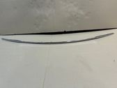 Rear bumper trim bar molding