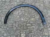 Moldura de la aleta trasera