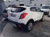 Rear door window glass