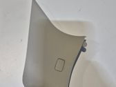 (C) pillar trim