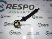 Cinturón trasero