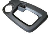 Other front door trim element