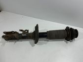 Front shock absorber with coil spring