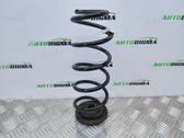 Rear coil spring