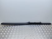 Other sill/pillar trim element