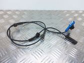 Cableado del sensor ABS delantero