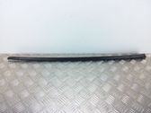 Windshield trim