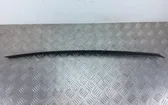 Windshield trim