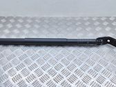Tailgate/trunk strut/damper