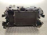 Radiator set