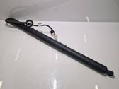 Tailgate/trunk strut/damper