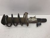 Front shock absorber with coil spring