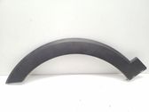 Fender trim (molding)