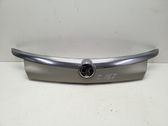 Trunk door license plate light bar