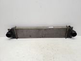 Intercooler radiator