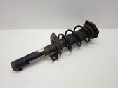 Front shock absorber/damper
