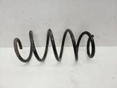 Front coil spring