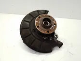 Rear wheel hub