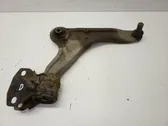 Front lower control arm/wishbone