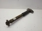 Rear shock absorber/damper