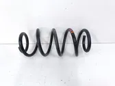 Front coil spring