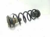 Rear coil spring